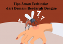 Tips Aman Terhindar dari Demam Berdarah Dengue