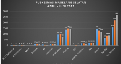 Rekapitulasi Kunjungan Pasien Puskesmas Magelang Selatan April – Juni 2025