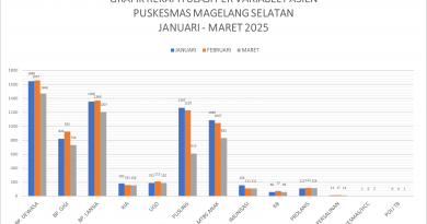 REKAPITULASI PASIEN PUSKESMAS MAGELANG SELATAN