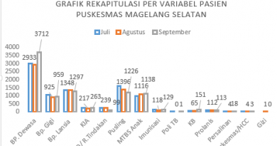 Kunjungan Pelayanan Puskesmas Magelang Selatan Periode Juli – September 2025