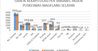 Analisis Pelayanan Kesehatan Puskesmas Magelang Selatan Periode Oktober–Desember 2025